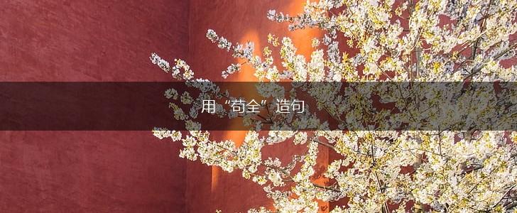 用“苟全”造句,第1张