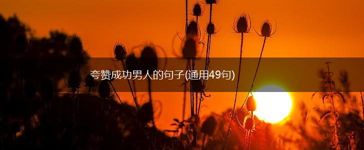 夸赞成功男人的句子(通用49句),第1张