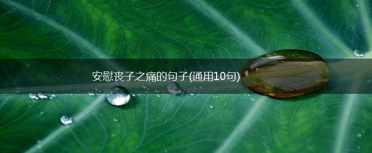 安慰丧子之痛的句子(通用10句),第1张