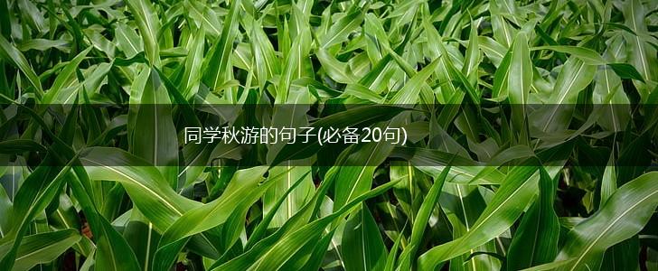 同学秋游的句子(必备20句),第1张