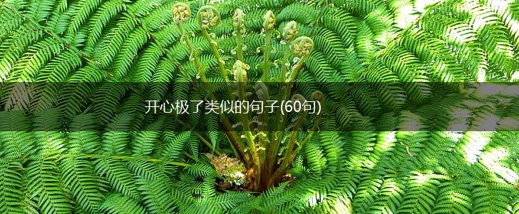 开心极了类似的句子(60句),第1张