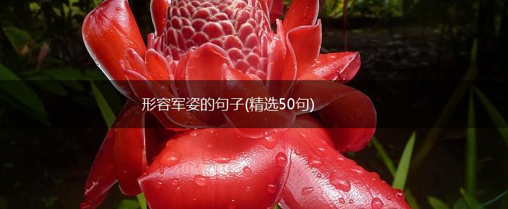 形容军姿的句子(精选50句),第1张