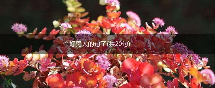 夸好男人的句子(共20句),第1张