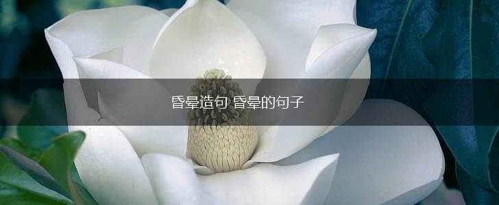 昏晕造句 昏晕的句子,第1张