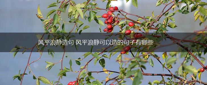 风平浪静造句 风平浪静可以造的句子有哪些,第1张