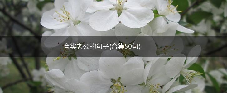 夸奖老公的句子(合集50句),第1张