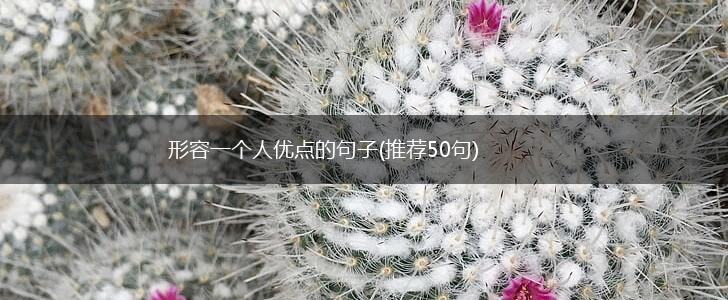 形容一个人优点的句子(推荐50句),第1张