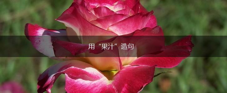 用“果汁”造句,第1张