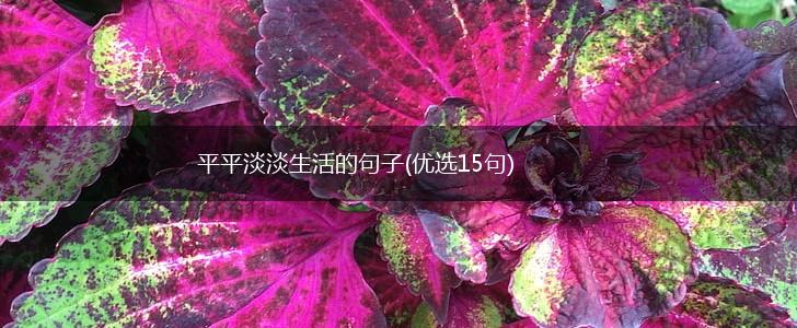 平平淡淡生活的句子(优选15句),第1张