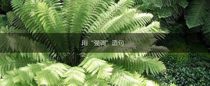 用“强调”造句,第1张
