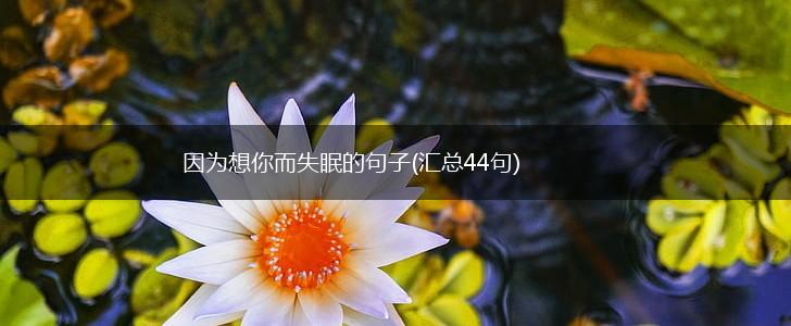因为想你而失眠的句子(汇总44句),第1张
