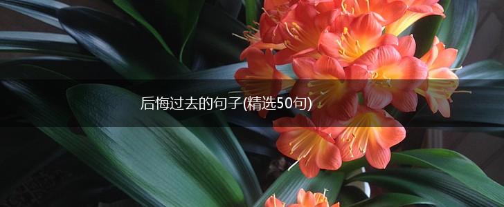 后悔过去的句子(精选50句),第1张