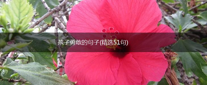 孩子勇敢的句子(精选51句),第1张