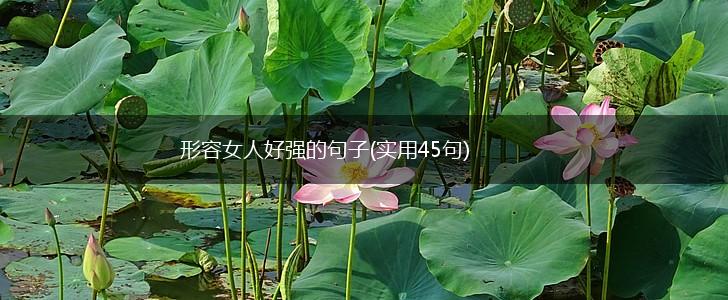 形容女人好强的句子(实用45句),第1张