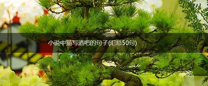 小说中描写酒吧的句子(汇总50句),第1张