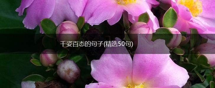 千姿百态的句子(精选50句),第1张