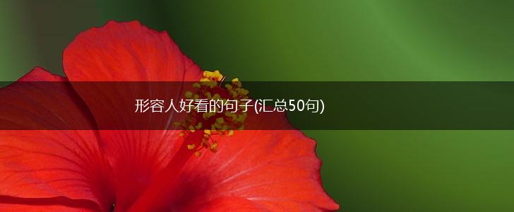 形容人好看的句子(汇总50句),第1张