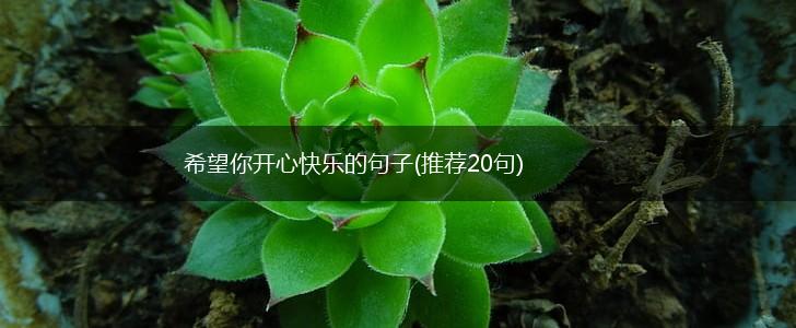 希望你开心快乐的句子(推荐20句),第1张