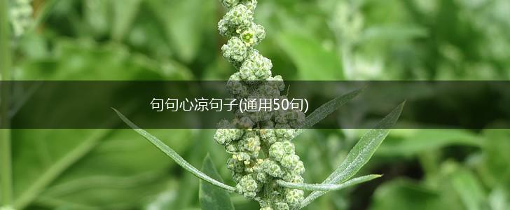 句句心凉句子(通用50句),第1张