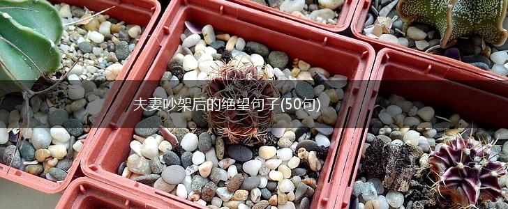 夫妻吵架后的绝望句子(50句),第1张