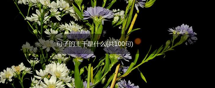 句子的主干是什么(共100句),第1张