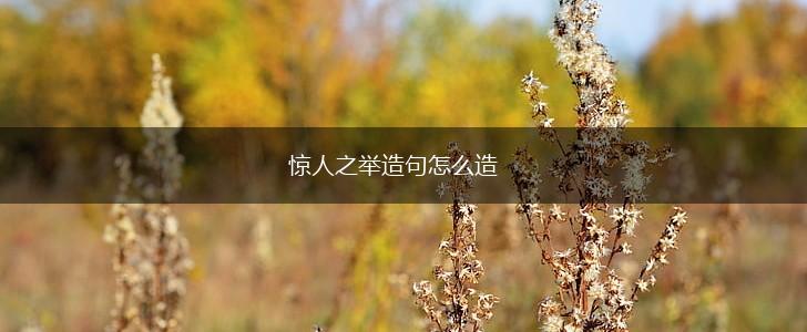 惊人之举造句怎么造,第1张
