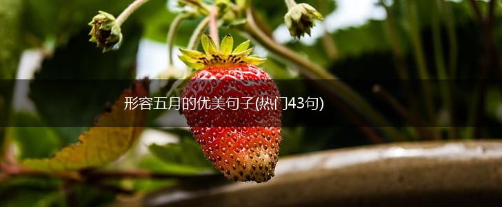 形容五月的优美句子(热门43句),第1张