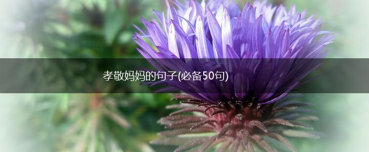 孝敬妈妈的句子(必备50句),第1张