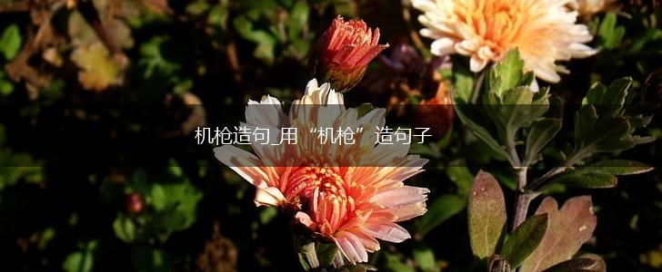 机枪造句_用“机枪”造句子,第1张