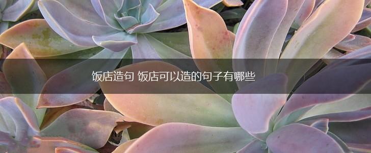 饭店造句 饭店可以造的句子有哪些,第1张