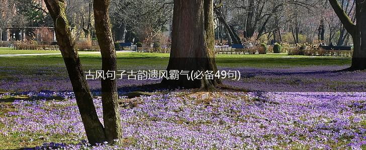 古风句子古韵遗风霸气(必备49句),第1张