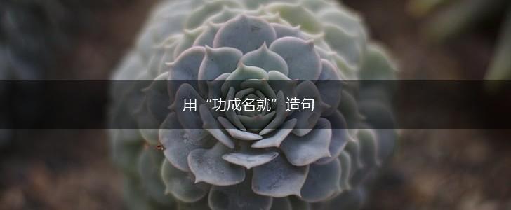 用“功成名就”造句,第1张