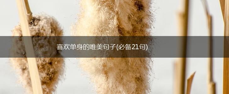 喜欢单身的唯美句子(必备21句),第1张