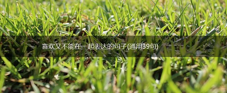 喜欢又不能在一起表达的句子(通用39句),第1张