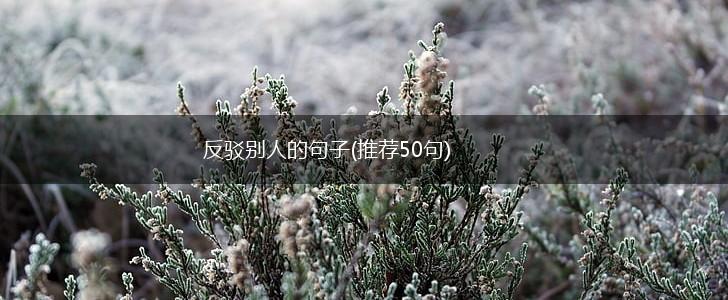 反驳别人的句子(推荐50句),第1张