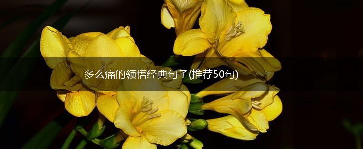 多么痛的领悟经典句子(推荐50句),第1张