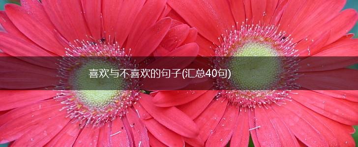 喜欢与不喜欢的句子(汇总40句),第1张