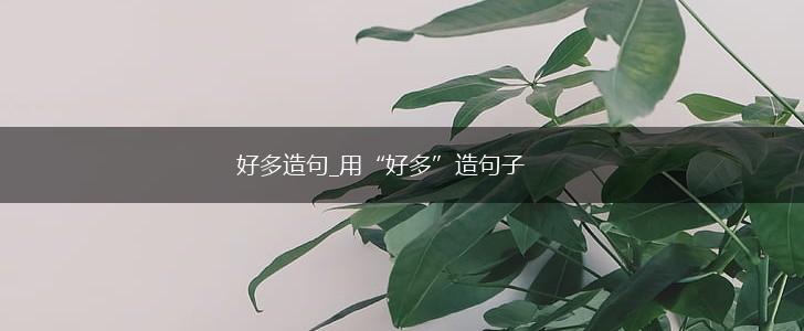 好多造句_用“好多”造句子,第1张
