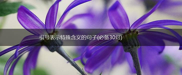 引号表示特殊含义的句子(必备30句),第1张