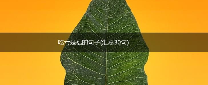 吃亏是福的句子(汇总30句),第1张