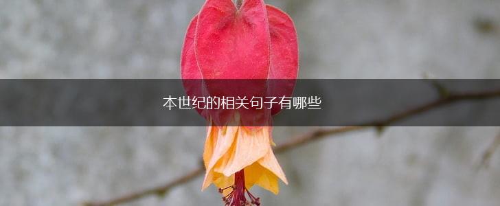 本世纪的相关句子有哪些,第1张