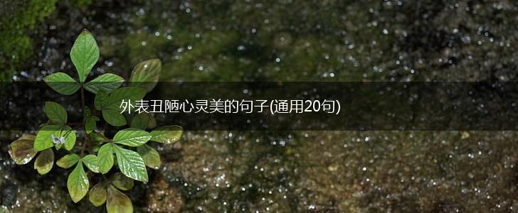 外表丑陋心灵美的句子(通用20句),第1张