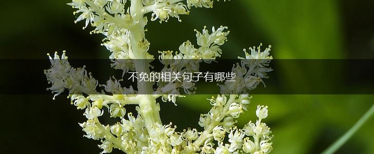 不免的相关句子有哪些,第1张