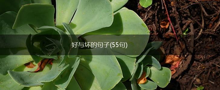 好与坏的句子(55句),第1张