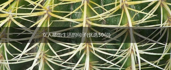 女人感悟生活的句子(优选50句),第1张
