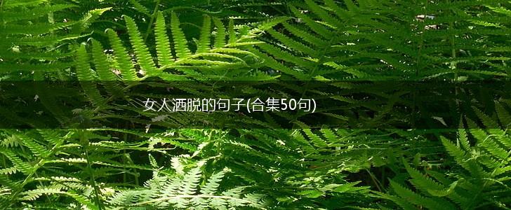 女人洒脱的句子(合集50句),第1张