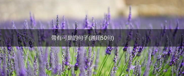 带有可是的句子(通用50句),第1张