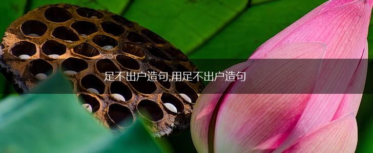 足不出户造句,用足不出户造句,第1张