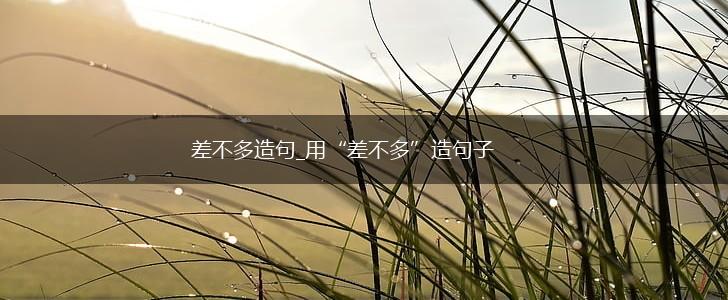 差不多造句_用“差不多”造句子,第1张