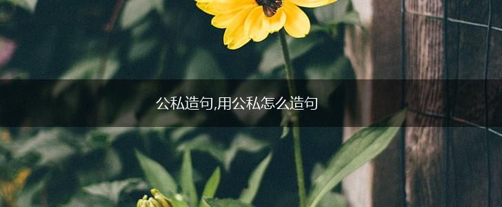 公私造句,用公私怎么造句,第1张